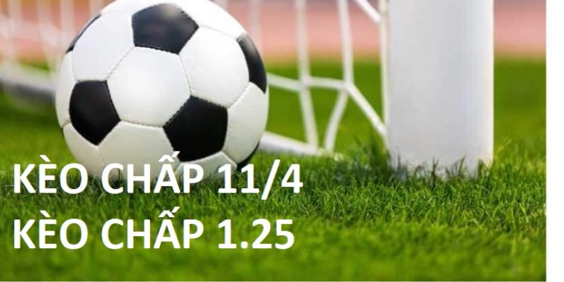 Kèo Chấp 1.25 - Phương Pháp Làm Giàu Nhanh Chóng Tại Kubet