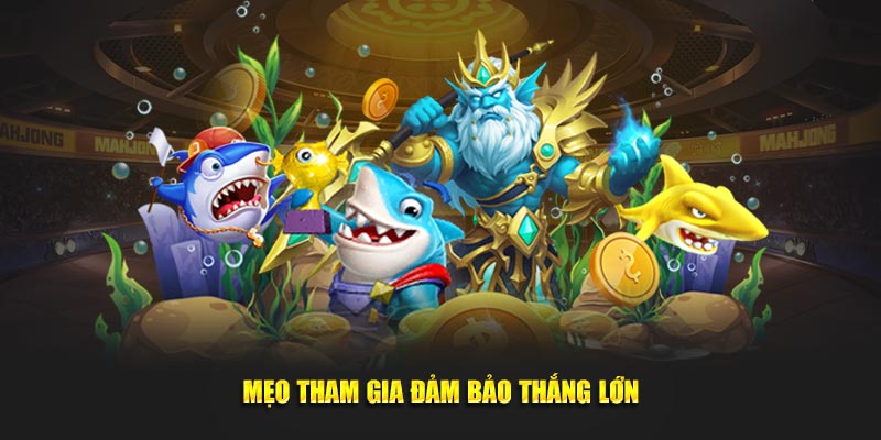 Mẹo tham gia đảm bảo thắng lớn